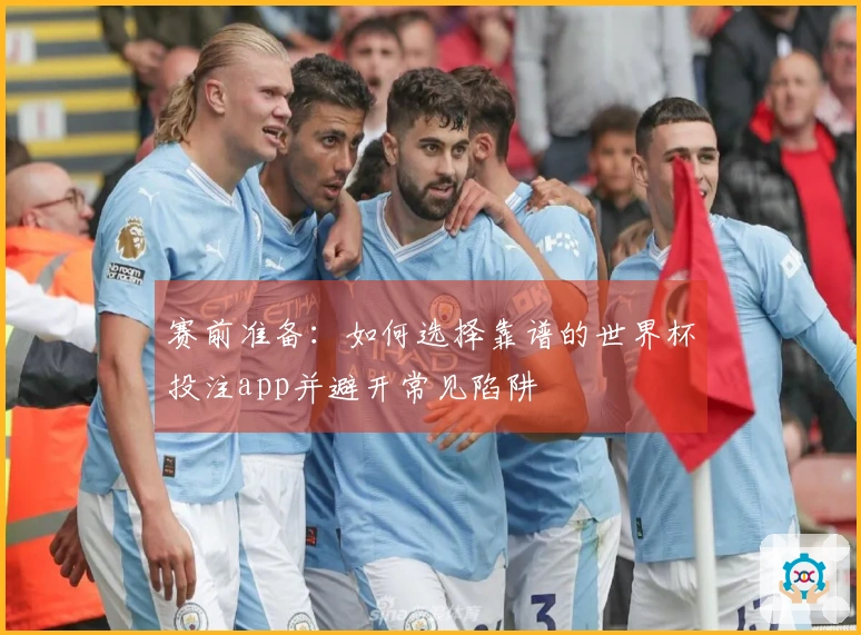 赛前准备：如何选择靠谱的世界杯投注app并避开常见陷阱