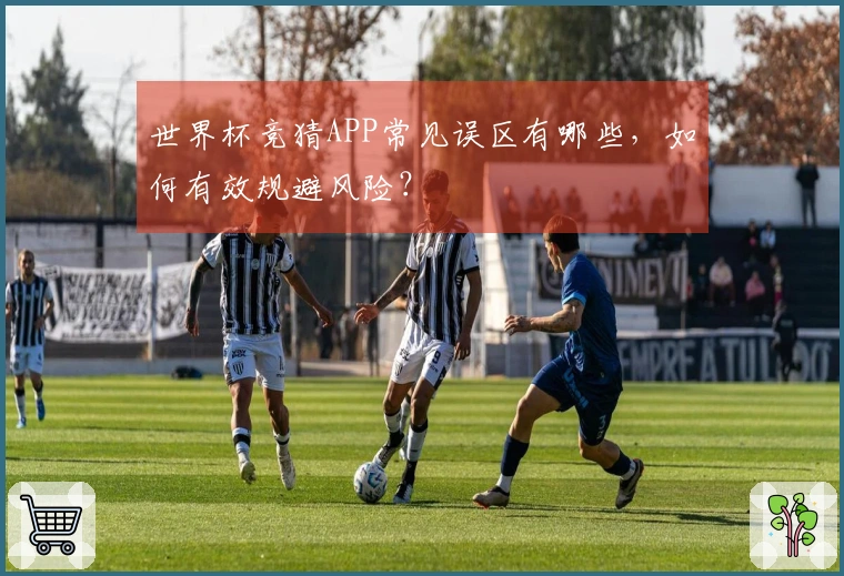 世界杯竞猜APP常见误区有哪些，如何有效规避风险？