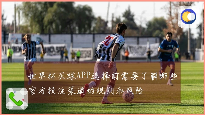 世界杯买球APP选择前需要了解哪些官方投注渠道的规则和风险