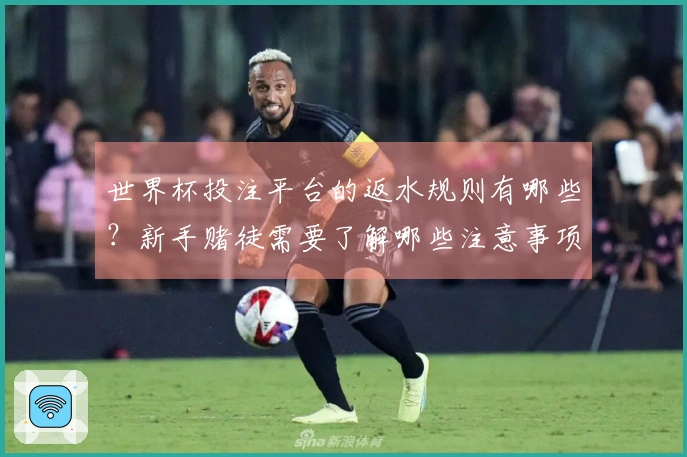 世界杯投注平台的返水规则有哪些?新手赌徒需要了解哪些注意事项?