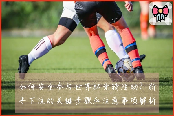 如何安全参与世界杯竞猜活动？新手下注的关键步骤和注意事项解析