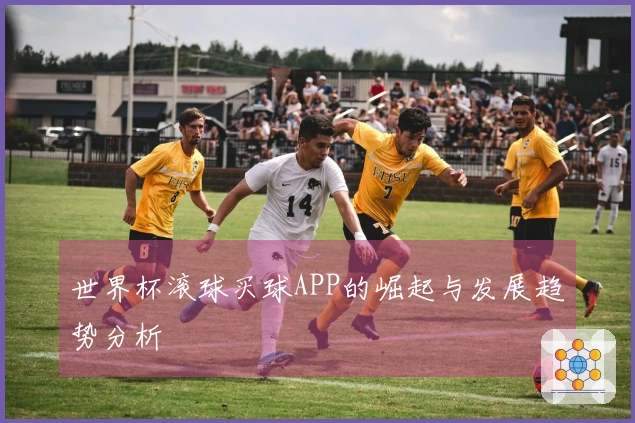 世界杯滚球买球APP的崛起与发展趋势分析