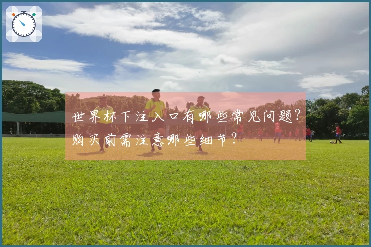 世界杯下注入口有哪些常见问题?购买前需注意哪些细节?
