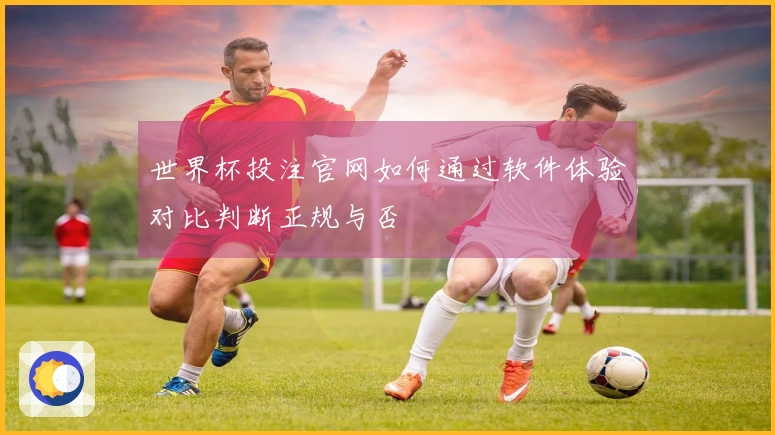 世界杯投注官网如何通过软件体验对比判断正规与否