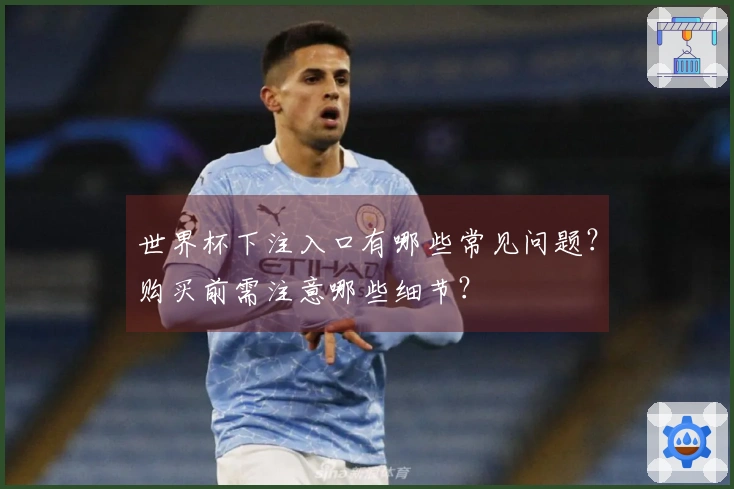 世界杯下注入口有哪些常见问题？购买前需注意哪些细节？