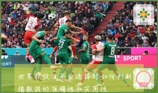 世界杯投注平台选择时如何判断直播数据的准确性和实用性