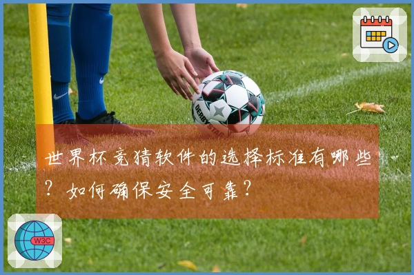 世界杯竞猜软件的选择标准有哪些?如何确保安全可靠?