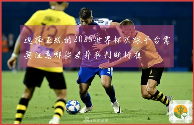 选择正规的2026世界杯买球平台需要注意哪些差异和判断标准