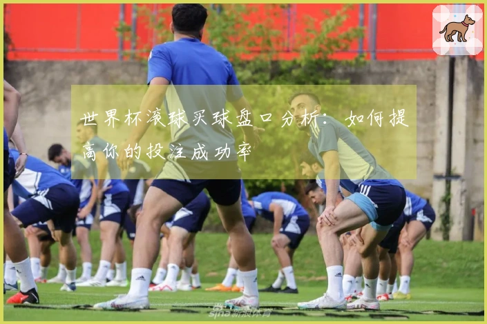 世界杯滚球买球盘口分析：如何提高你的投注成功率