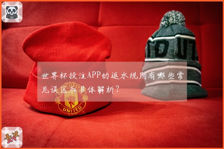 世界杯投注APP的返水规则有哪些常见误区和具体解析？