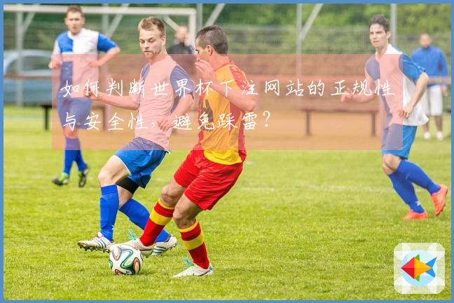 如何判断世界杯下注网站的正规性与安全性，避免踩雷？