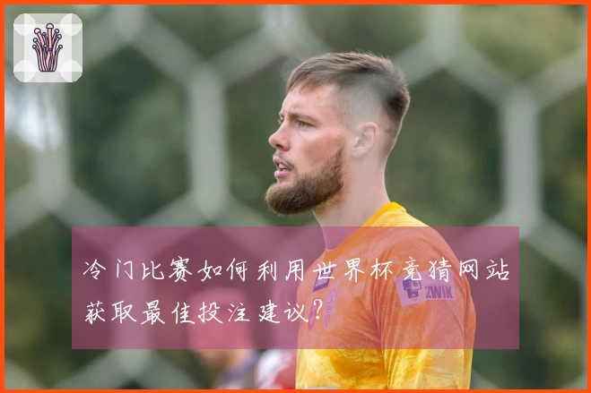 冷门比赛如何利用世界杯竞猜网站获取最佳投注建议？