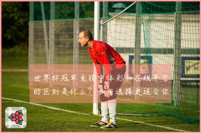 世界杯冠军竞猜中体彩和在线平台的区别是什么?如何选择更适合你的下注方式?