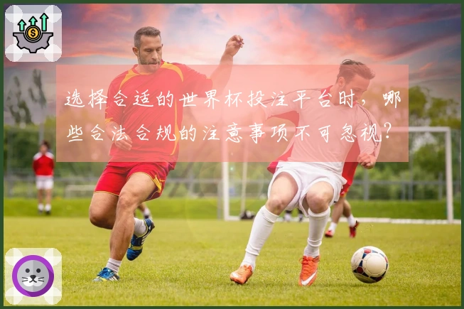 选择合适的世界杯投注平台时，哪些合法合规的注意事项不可忽视？