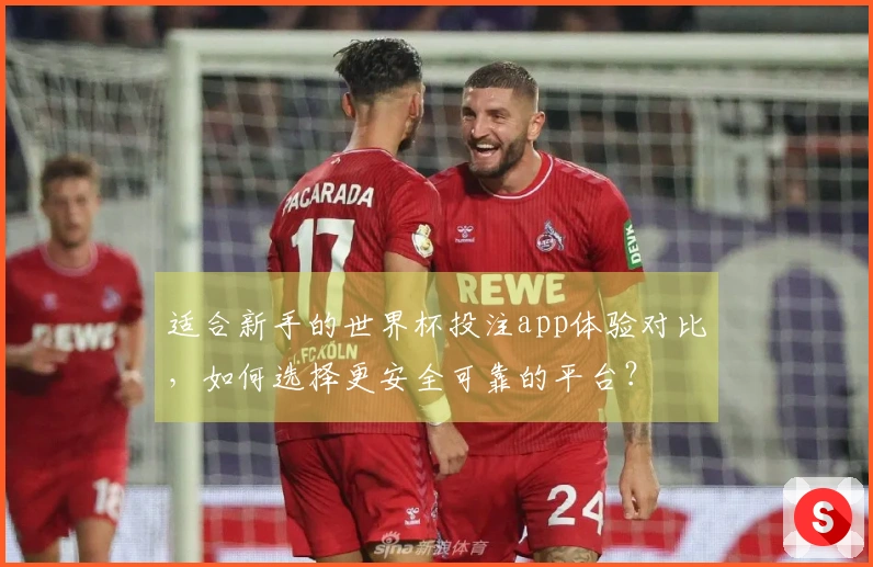 适合新手的世界杯投注app体验对比，如何选择更安全可靠的平台？