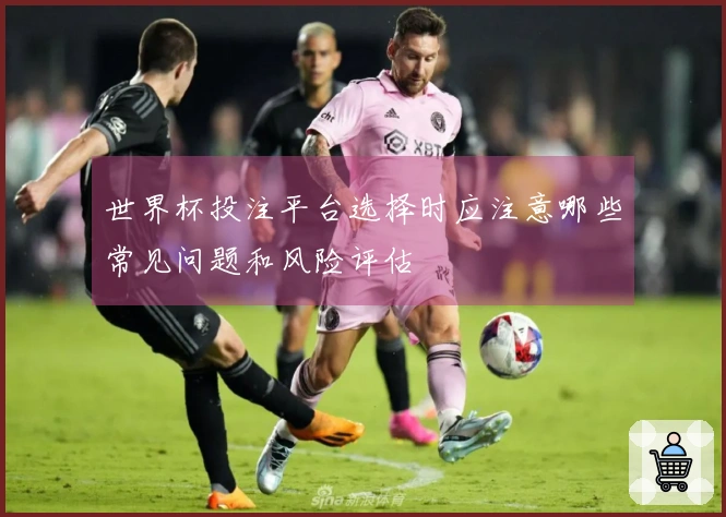 世界杯投注平台选择时应注意哪些常见问题和风险评估