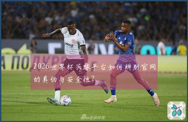 2026世界杯买球平台如何辨别官网的真伪与安全性？